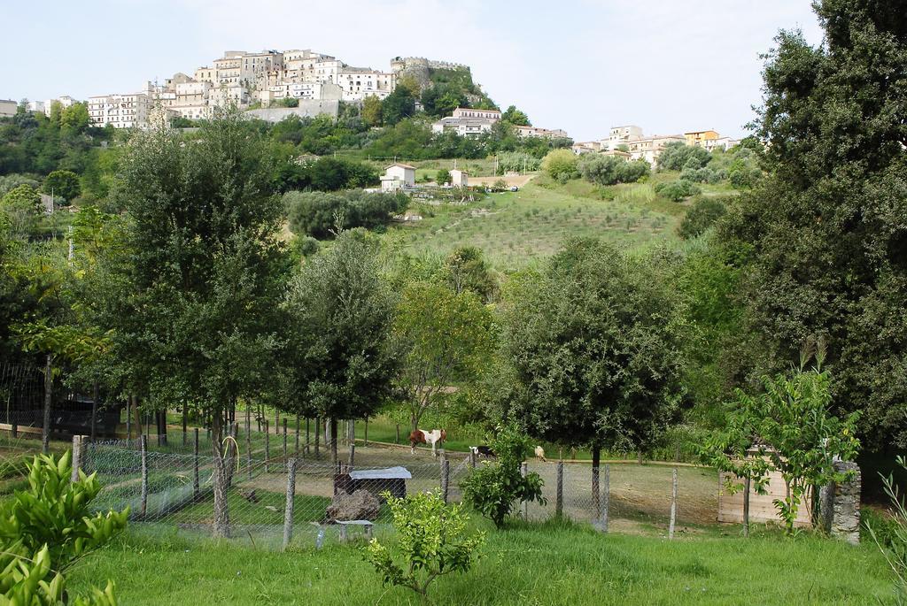 Agriturismo L'Arca Di Anna Brambilla Belvedere Marittimo Exterior foto